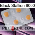 Black Stallion 9000 24